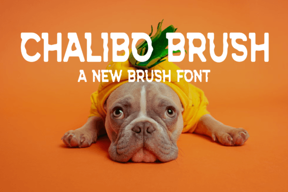 Chalibo Brush: A Playful Typeface for Authentic Branding