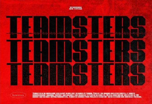Teamsters: The Bold Sans Serif Font for Handmade Labels and Shop Branding